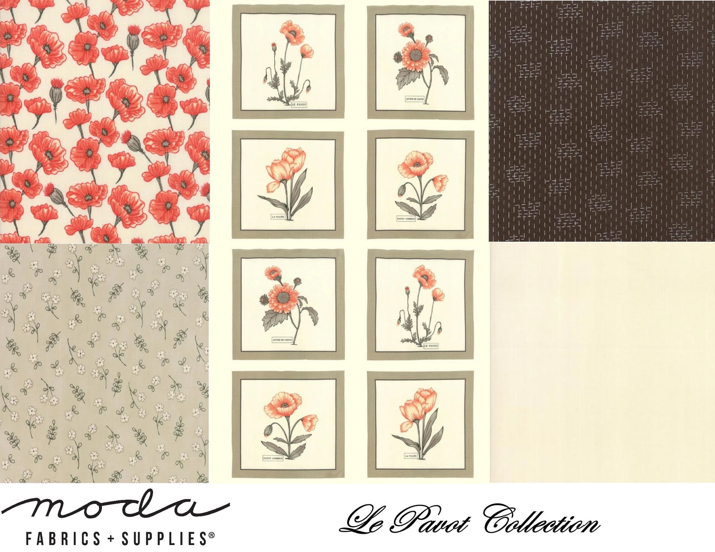 Moda Fabric - Floral Interlocking Circles Natural (Le Pavot)