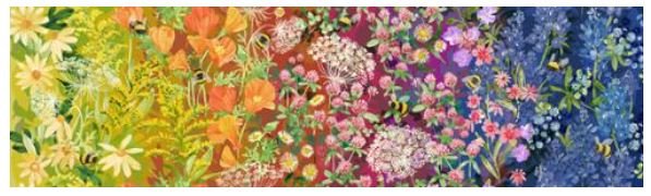 Wild Blossoms Rainbow