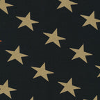 Paintbrush Studio - Stars (Defenders of Freedom)