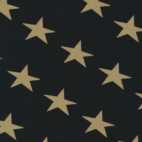 Paintbrush Studio - Stars (Defenders of Freedom)