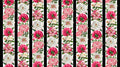 Northcott - Peony Passion Stripe (Bloom) 25191-10