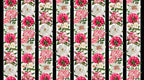 Northcott - Peony Passion Stripe (Bloom) 25191-10