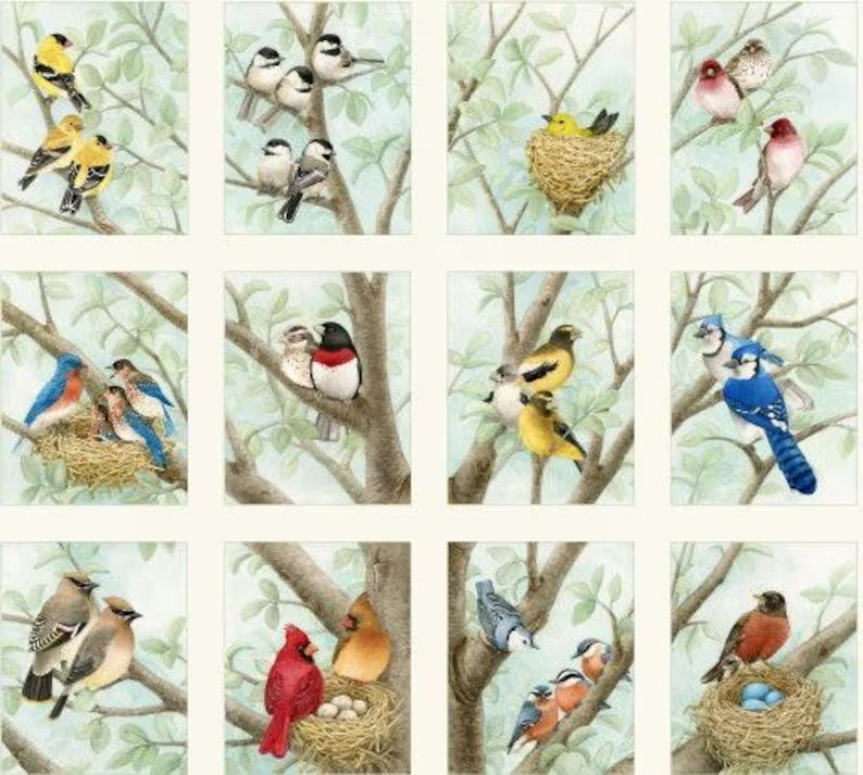Elizabeth's Studio - Birds Panel (apx. 24x44)