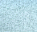 Benartex Fabric - Bird Seeds Green (Bird Song)