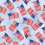 Benartex - USA Flags Light Blue (Faith, Family, Freedom) 14828-05