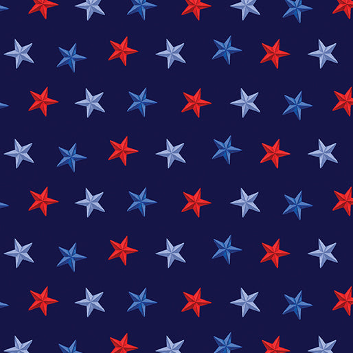 Benartex - Stars of Freedom Navy (Faith, Family, Freedom) 14830-57