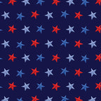 Benartex - Stars of Freedom Navy (Faith, Family, Freedom) 14830-57