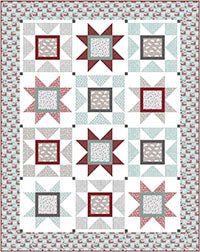 Benartex - Farm Stars KIT (Farm Fresh)