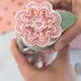 Pink flower in a clear vase on a white background