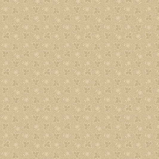 Marcus - Midnight Lace R220333