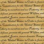 Paintbrush Studio - Constitution Words Tan (Defenders of freedom)