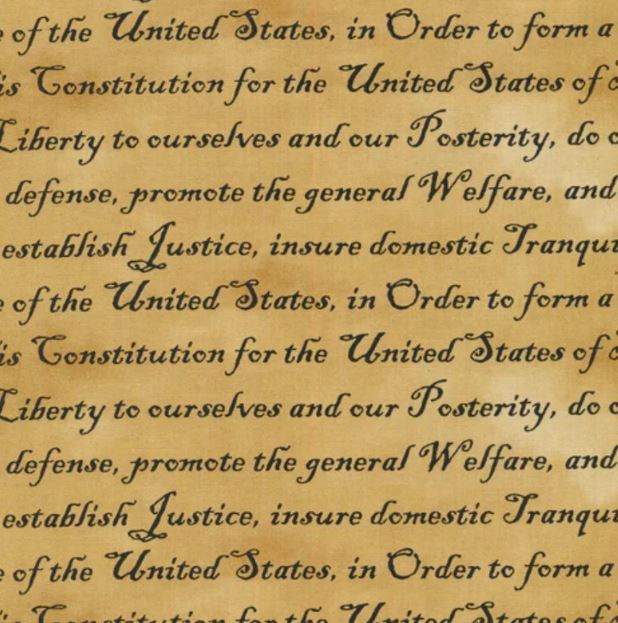 Paintbrush Studio - Constitution Words Tan (Defenders of freedom)