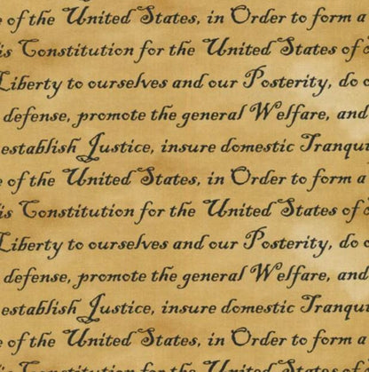 Paintbrush Studio - Constitution Words Tan (Defenders of freedom)