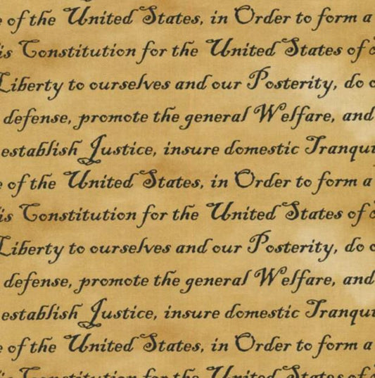 Paintbrush Studio - Constitution Words Tan (Defenders of freedom)