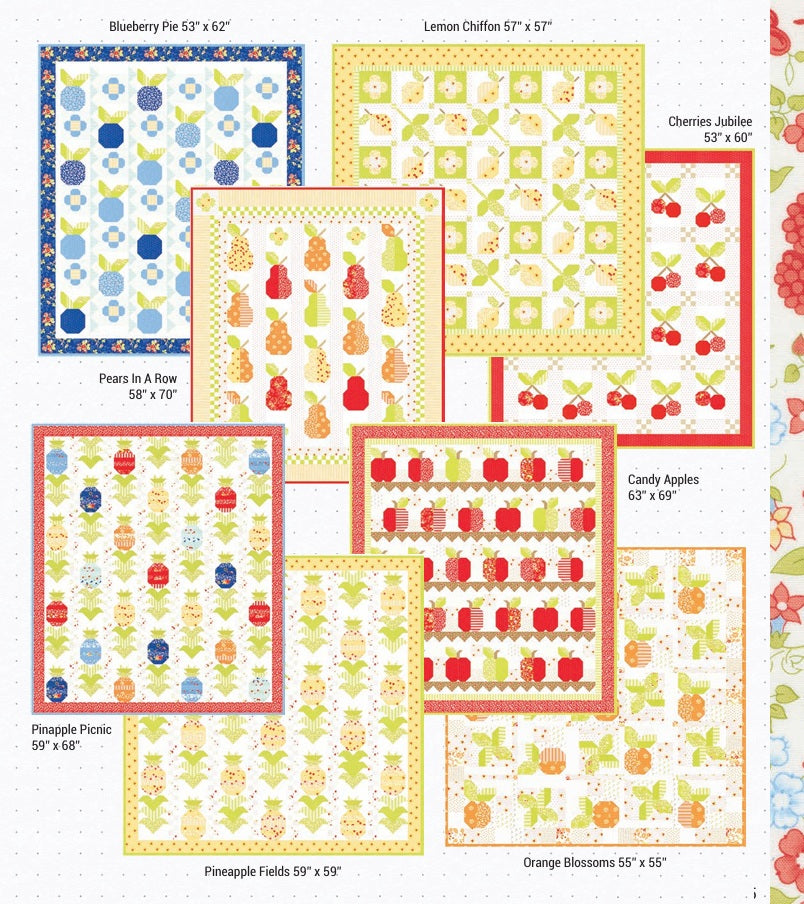 Collection of colorful sample quilt patterns with various designs and sizes using this fabric collection. Fat quarter bundles sold by Sewing Bee Studio.