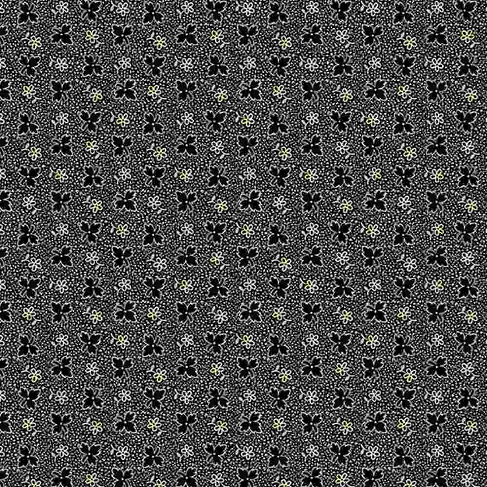 MARCUS - Midnight Lace Black R220333