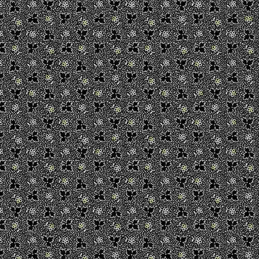 Marcus Midnight Lace Black R220333