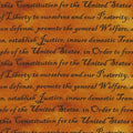 Paintbrush Studio - Constitution Words Amber (Defenders of Freedom)