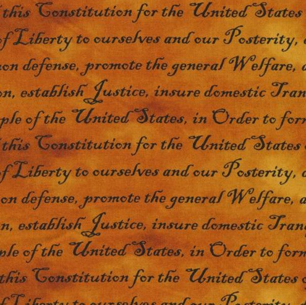 Paintbrush Studio - Constitution Words Amber (Defenders of Freedom)