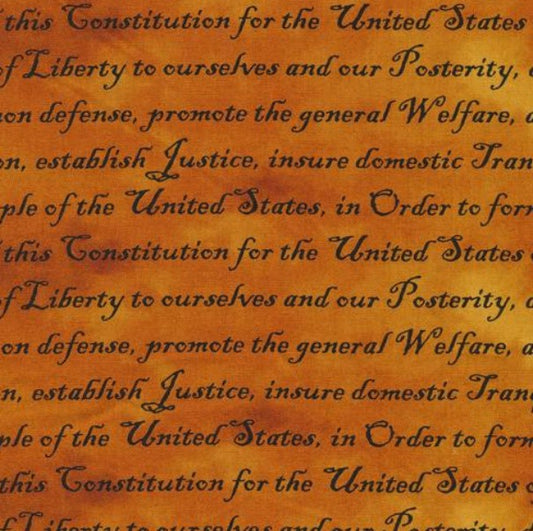 Paintbrush Studio - Constitution Words Amber (Defenders of Freedom)