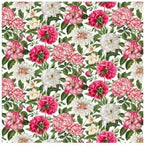 Northcott - Large Peony White (Bloom) 25193-10