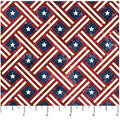 NORTHCOTT - Stars & Stripes Navy Star Grid (Stonehenge) 25342-49