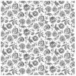 Northcott Fabric - Peony Toile White/Black (Bloom)